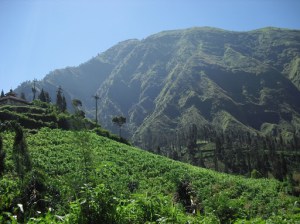 Rp590.000,00 | Bandung – Pulau Sempu – Gunung Bromo – Jogjakarta – Bandung (Bagian 2)