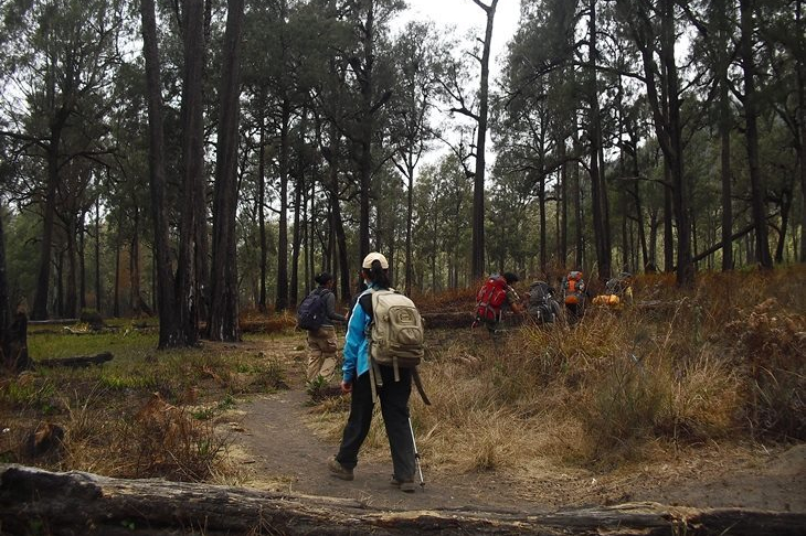 Jalur pendakian Gunung Semeru