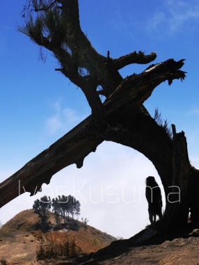 Kerajaan Dewi Anjani