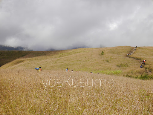 Kerajaan Dewi Anjani