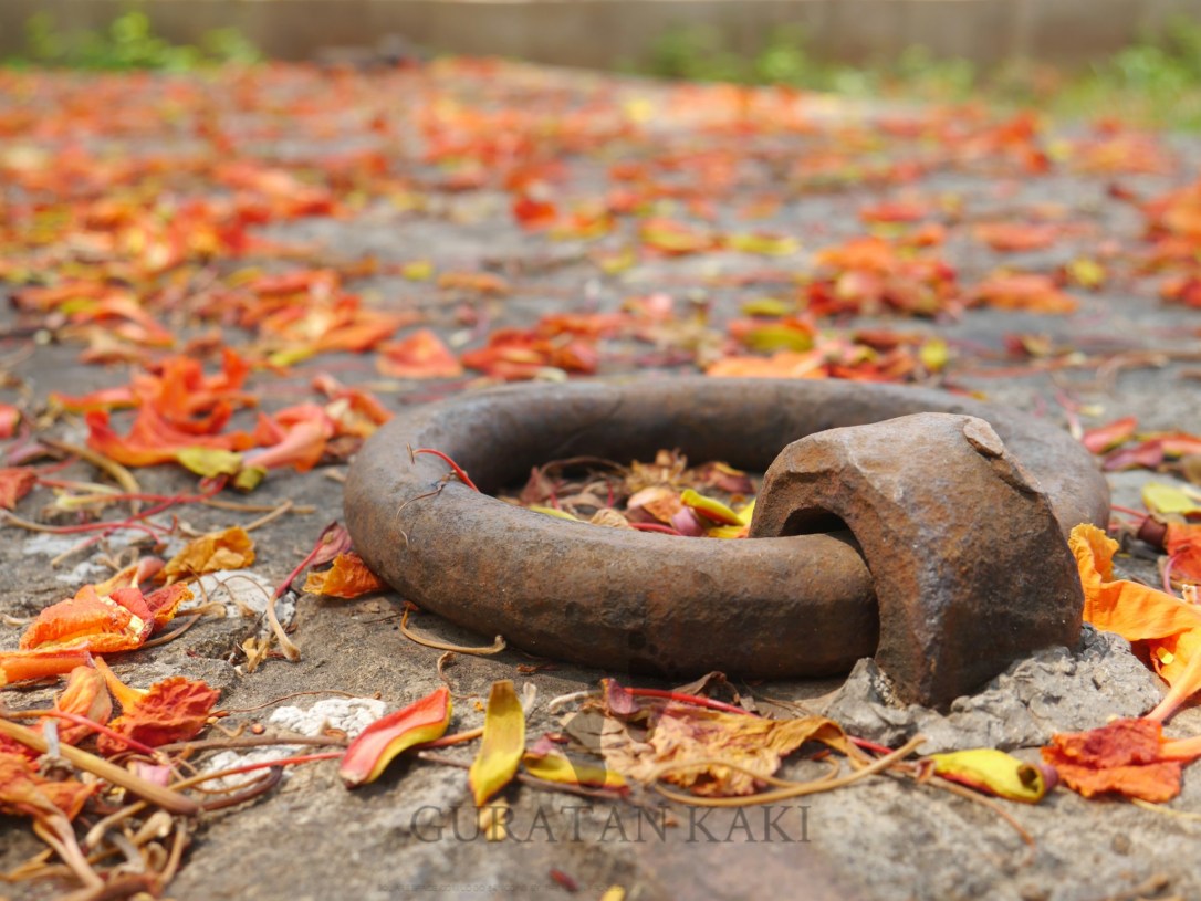 PicsArt_11-25-07.50.28