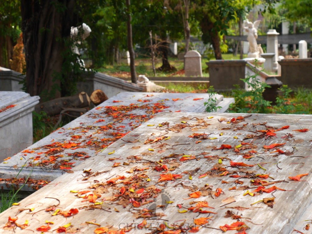 PicsArt_11-25-07.52.11