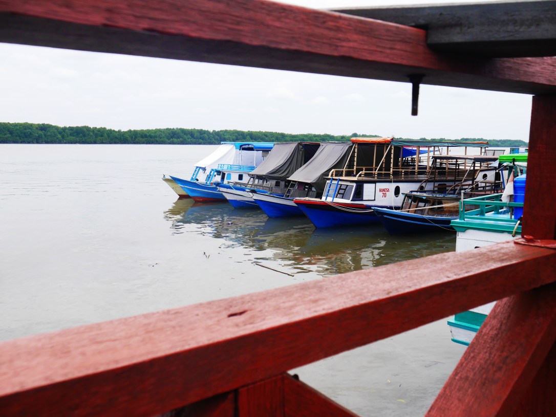 Processed with VSCO with s3 preset