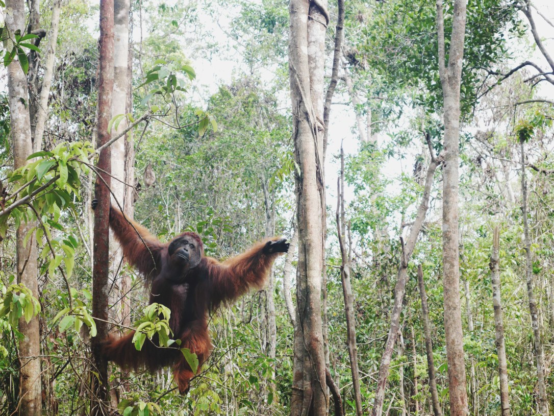 Processed with VSCO with 4 preset