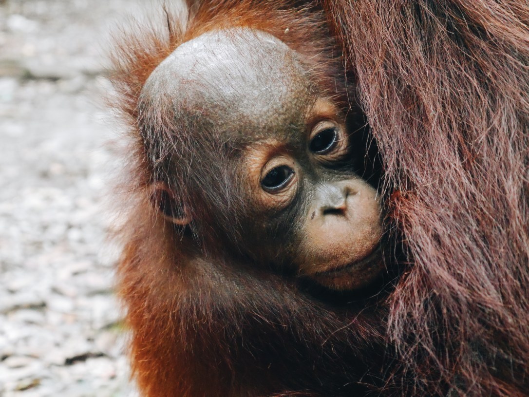 Processed with VSCO with a6 preset