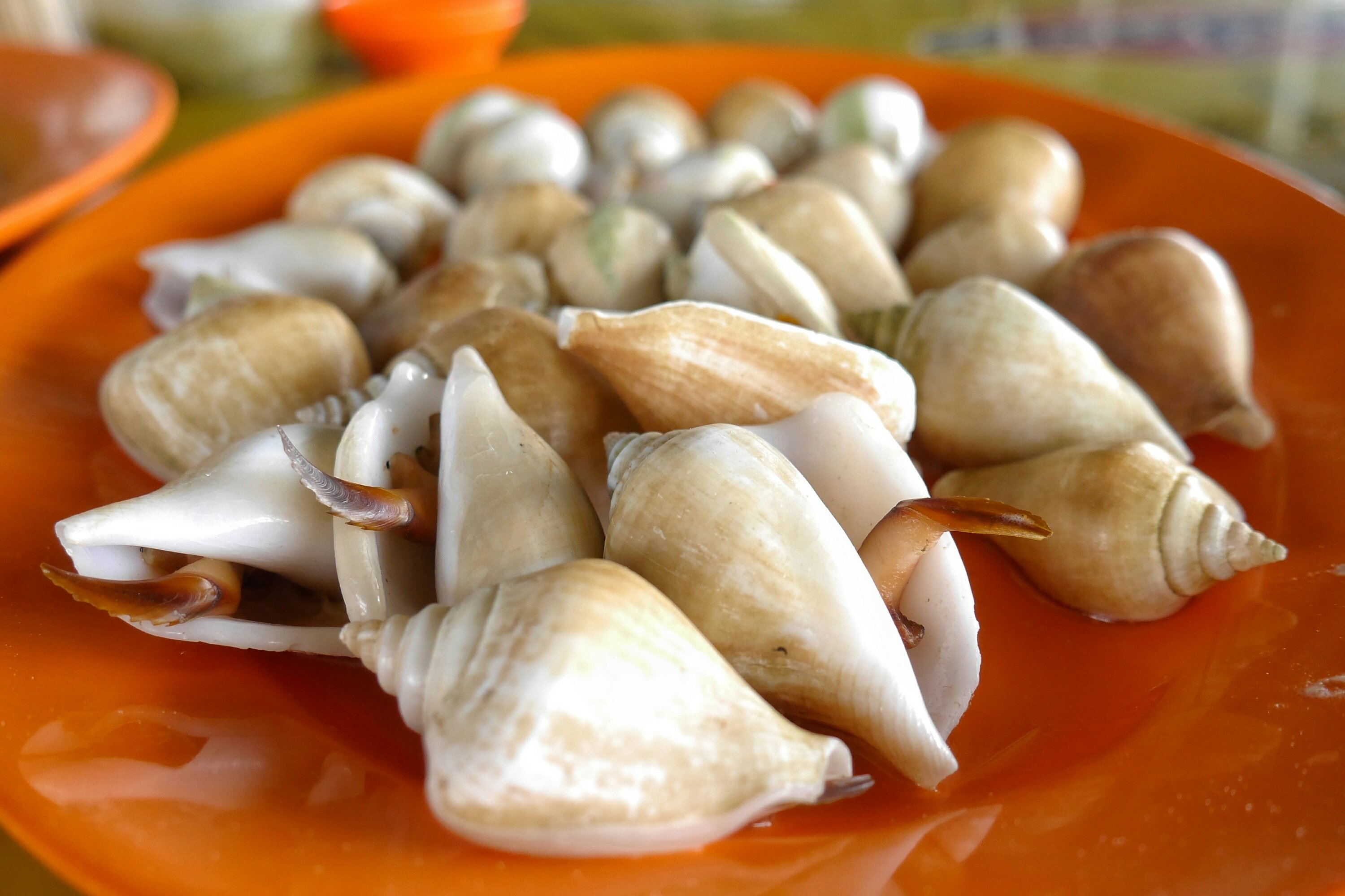 Mencicipi Gonggong di Batam