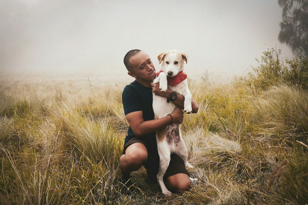 anjing di gunung lawu jalur cetho.jpeg